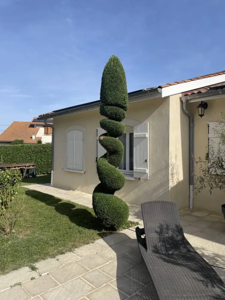 Entretien cyprès